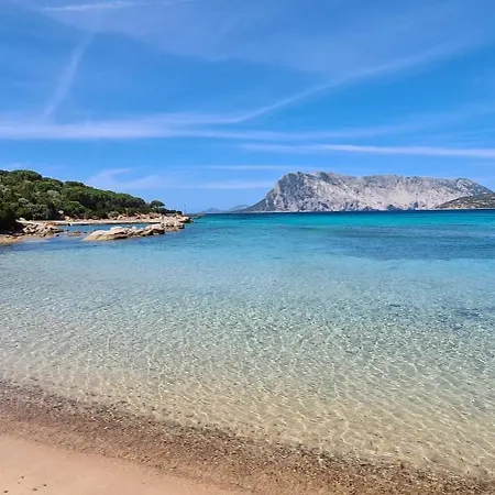 Apartment Bilocale Geranium San Teodoro (Sardinia)