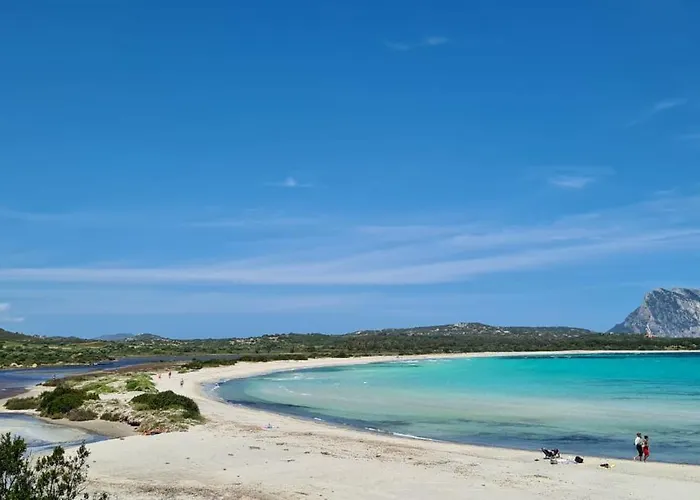 Apartman Bilocale Geranium San Teodoro